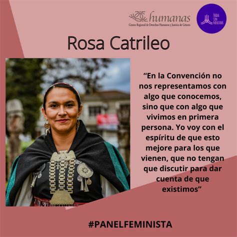 Rosa Catrileo Constituyente Pueblo Mapuche “en La Convención No Nos