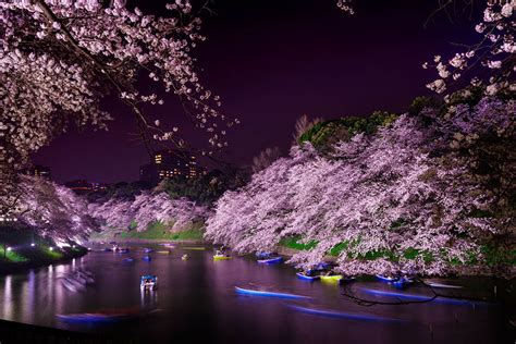 Tokyo In Spring Your Sakura Photo Spot Guide Around Tokyo Things To