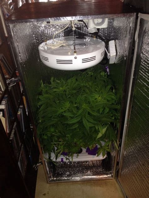 Grow Cabinets For Cannabis Indoor Growing Phototron Gives 5 Healthy Reasons To Join