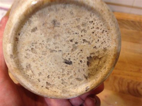 May 17, 2016 · active, but not ripe, sourdough starter. beginner's guide to creating and maintaining sourdough ...