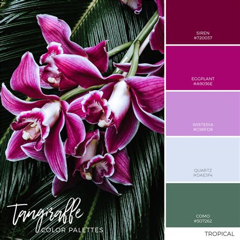 Tropical Color Inspiration Color Combination Color Palettes Color