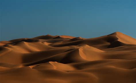 Landscape Rub Al Khali Desert United Arab Emirates Arabia Dune