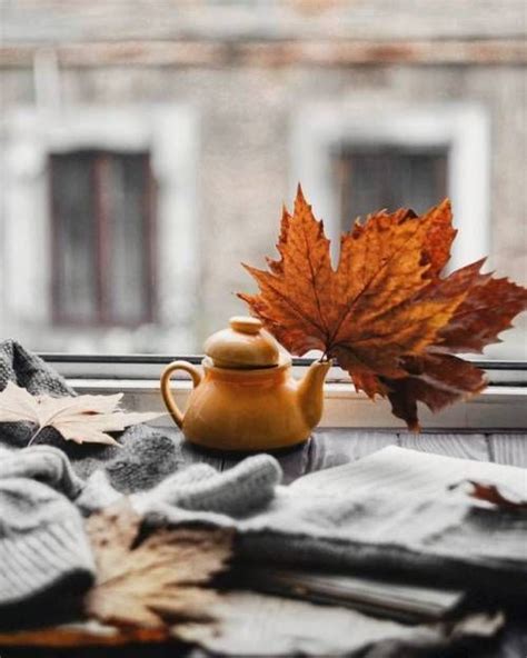 🍂witchy Autumns🌙 Autumn Photography Autumn Cozy Autumn Inspiration