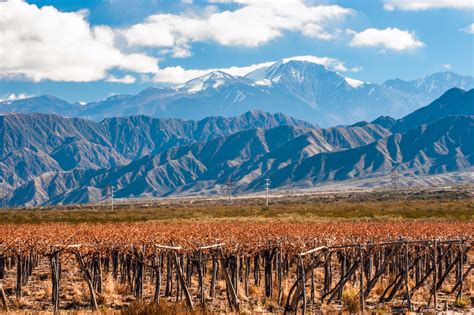 Guide to the Mendoza Wine Region in Argentina