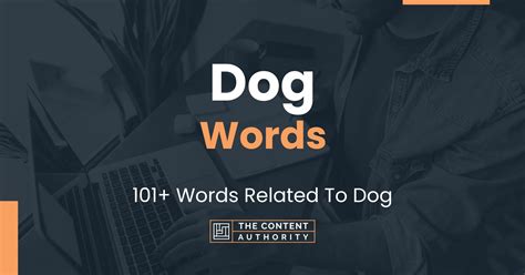 Dog Words 101 Words Related To Dog