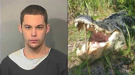 Burglar Attacked Killed By Alligator In Florida