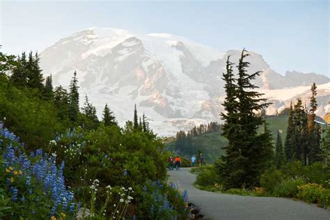 Seattle Mount Rainier Park All Inclusive Small Group Tour Getyourguide