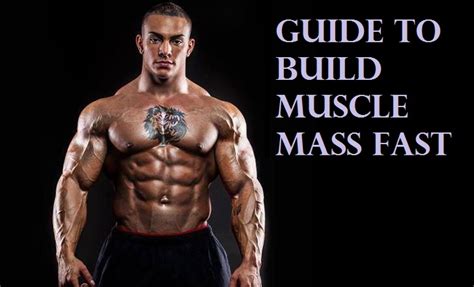 Muscle Palace The Bodybuilding Guide To Build Muscle Mass Fast