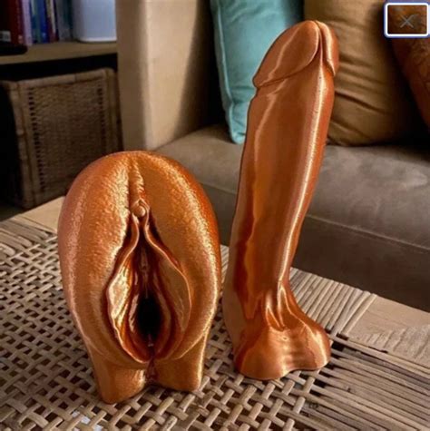 Matching Penis And Vulva Model Clitoris Vagina Pussy 3d Etsy