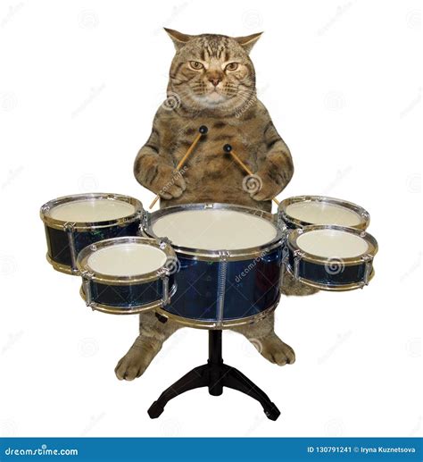 Cat Plays The Drums Stock Illustration Illustration Of Song 130791241
