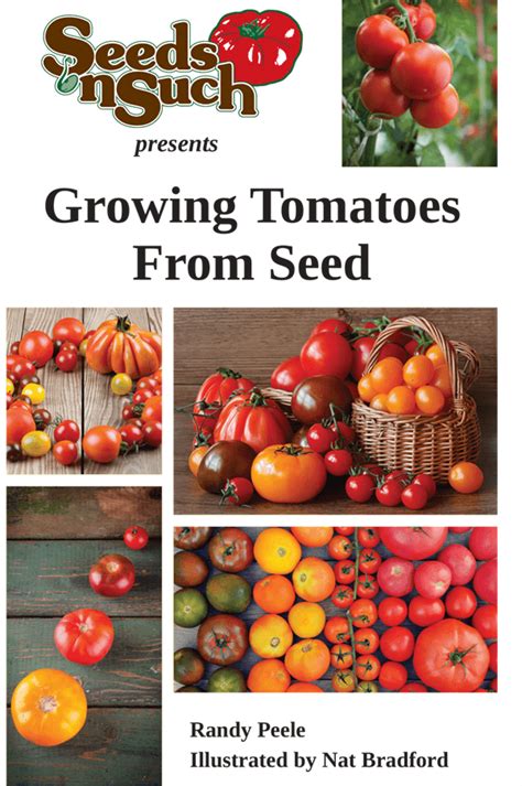Growing Tomatoes From Seed Tomato Growing Guide — Seeds N Such