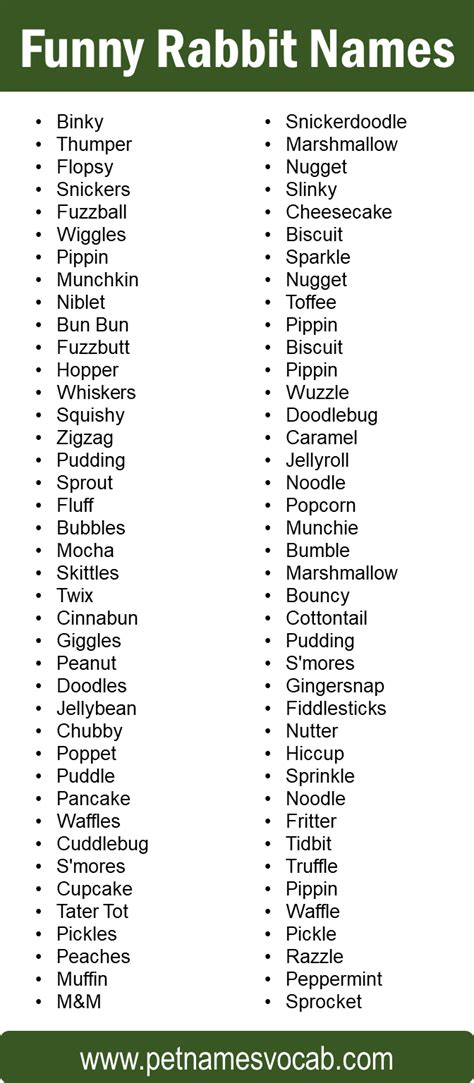 Funny Rabbit Names For Your Adorable Pet Pet Names Vocab