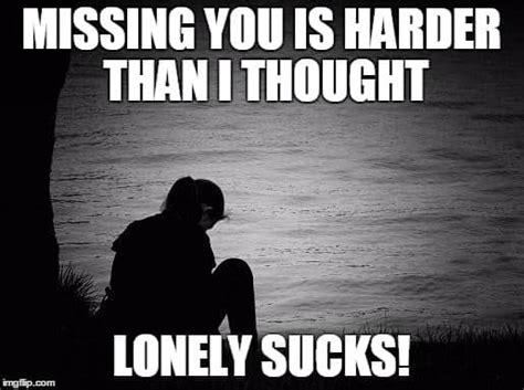 Lonely Memes To Make You Feel Less Alone Sayingimages Com