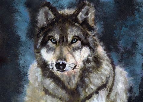 Gray Wolf By Barefoottiger On Deviantart