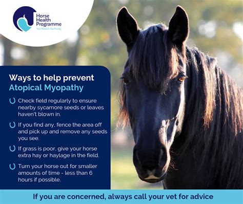 Equine Veterinary Centre Atypical Myopathy
