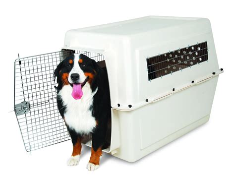 Petmate Vari Kennel Plastic Dog Crate Bleached Linen X Large 48l X