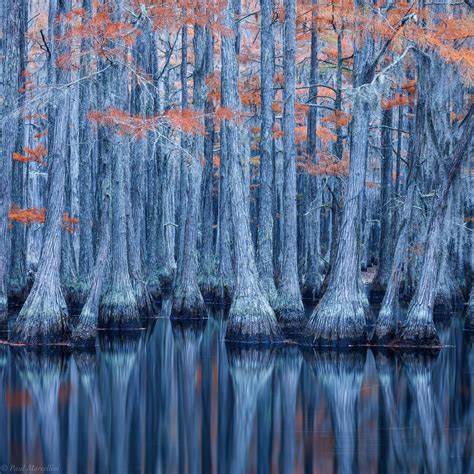 Blue Bayou Southeast Us Florida Landscape Photography By Paul