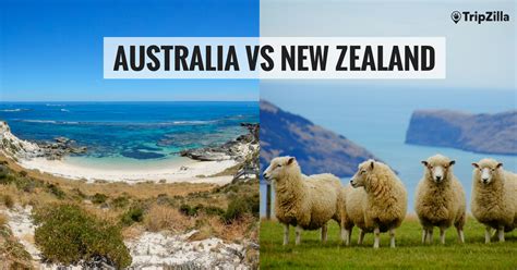 After 15 months in australia, my visa ended, so i decided to come to wellington next. Australia vs. New Zealand — Who Does It Better?