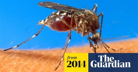 New Wave Of Drug Resistant Malaria Threatens Millions Malaria The