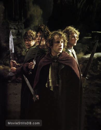 The Lord Of The Rings The Fellowship Of The Ring Publicity Still Of