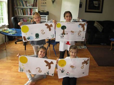 Food Webs And Food Chains Activities For Kids Kids Art And Craft