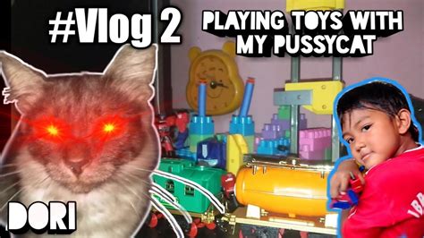 playing toys with my pussycat vlog 2 youtube