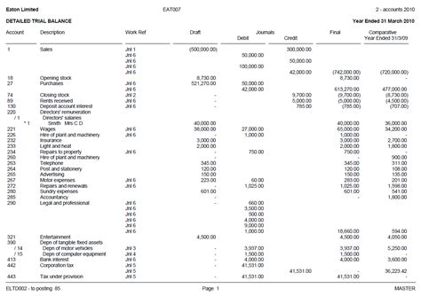 Detailed Trial Balance Example