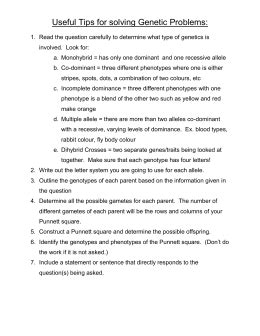 Shows all the ways in which alleles can combine. Punnett Square Practice Worksheet