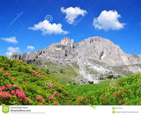 Dolomite Peaks Rosengarten Stock Image Image Of Altitude Climbing