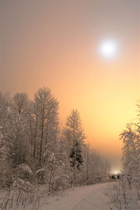 Glowing Moonlight Null With Images Beautiful Winter Scenes