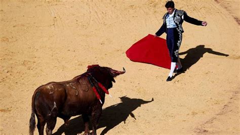 Bullfights in Spain The day will come when bullfighting is history Life in Spain EL PAÍS