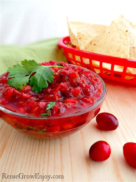 Cranberry Salsa Recipe Reuse Grow Enjoy
