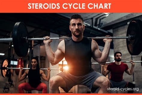 Steroids Cycle Chart Best Legal Steroids Cycle And Stacks 2020