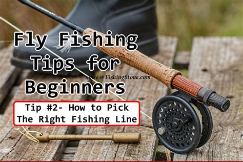 Fly Fishing Tips For Beginners Fishingfly