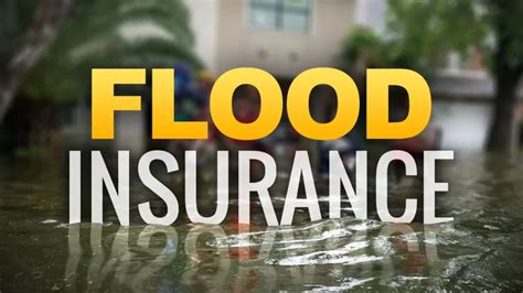 The Ultimate Guide To Flood Insurance Everything You Need To Know