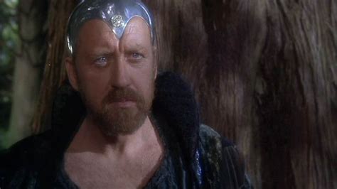 Nicol Williamson As Merlin In Excalibur 1981 Probably My Favorite