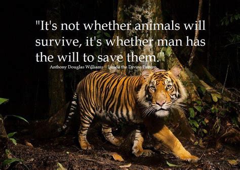 A species cannot survive without a home. World Wildlife Day 2020: Inspiring Quotes Slogan Themes Sayings Pictures