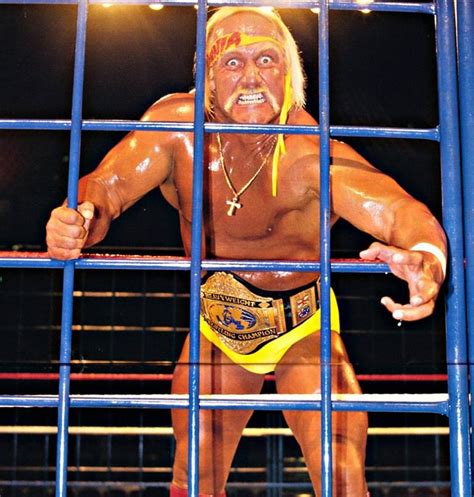 Reasons Hulk Hogan Was Good For Wrestling And He May Not Have Been
