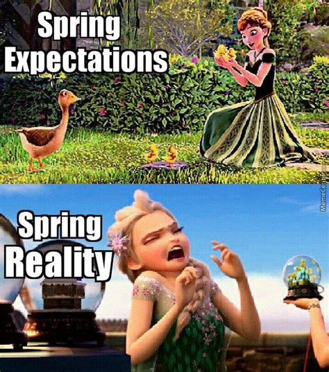 15 Spring Equinox 2019 Memes To Celebrate The Return Of