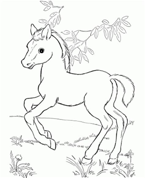 Disney Horse Coloring Pages At Free Printable