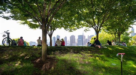 6 Ways Trees Benefit People The Nature Conservancy