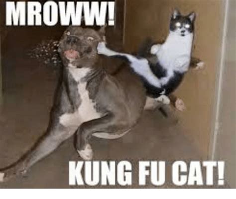 Ps Master Presents To You The Kung Fu Cat Kung Fu Meme On Meme