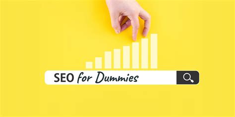 Seo For Dummies Learn The Basics Of Search Engine Optimization