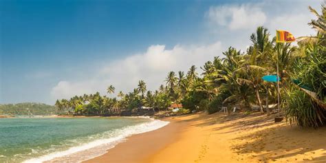 Negombo Beach Sri Lanka A Comprehensive Guide