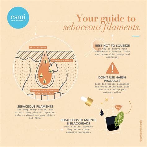 How To Get Rid Of Sebaceous Filaments Esmi Skin Minerals