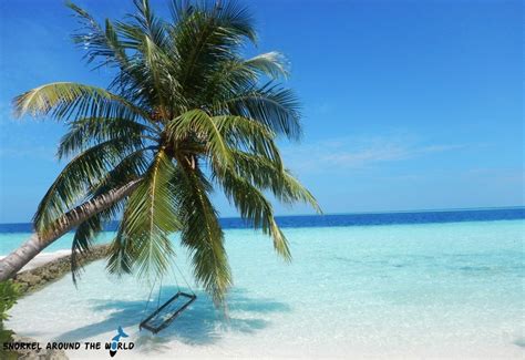 Biyadhoo Island Resort Review Maldives Snorkel Around The World