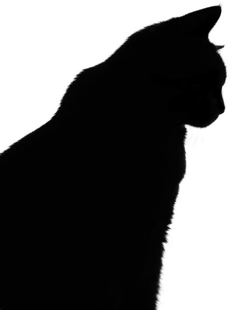 Cat Silhouette Vector Free Free Download Clip Art Free Clip