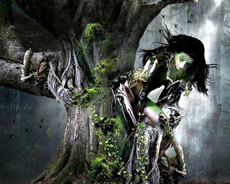 My Forests Art Tree Fantasy Forests Woman Hd Wallpaper Peakpx