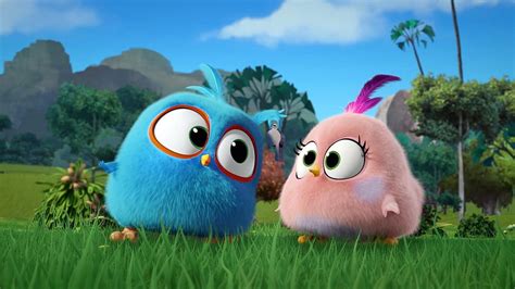 X Px P Free Download Angry Birds Blues Angry Birds Movie Zoe Hd Wallpaper Pxfuel