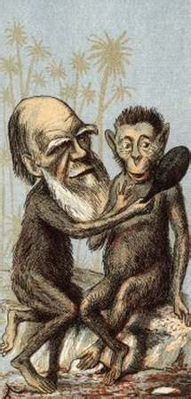 After boogying, the monkey sat down amid collective clapping from his fellow beasts. Philosophical Disquisitions: Darwin and Moral Realism: The ...